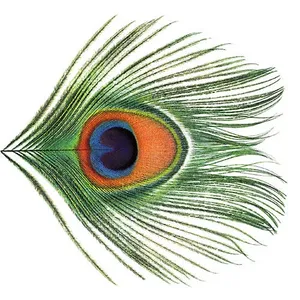 Apple Venus : volume 1